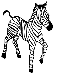 Black and white line drawing of a zebra.